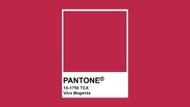 Viva Magenta is Pantone's 'Color of the Year' for 2023 (Image via The Color Institute)